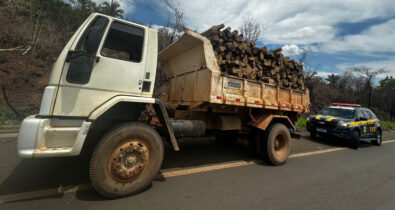 Condutor sem habilitação é detido com carga ilegal de madeira em Caxias