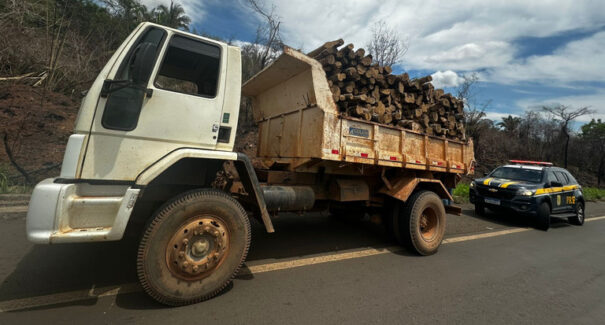 Condutor sem habilitação é detido com carga ilegal de madeira em Caxias