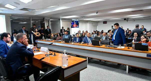 CPI das ONGs aprova relatório, que sugere seis projetos e um indiciamento