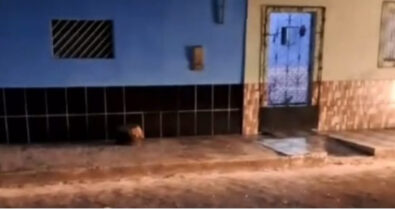 Chuva de granizo é registrado por moradores de Chapadinha