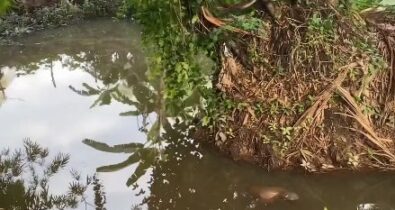 Corpo é encontrado boiando em rio na cidade de Rosário
