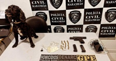 Casal é preso por tráfico de drogas e posse ilegal de arma de fogo em Timon