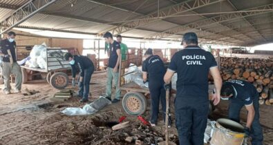 Polícia Civil do MA incinera 1,5 toneladas de drogas que foram apreendidas em 2023