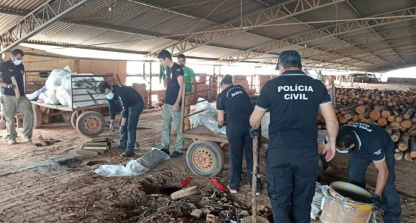 Polícia Civil do MA incinera 1,5 toneladas de drogas que foram apreendidas em 2023