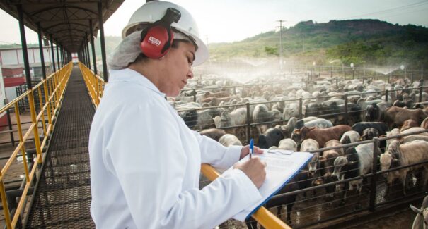 Sustentabilidade levada a sério pelo Grupo Fribal