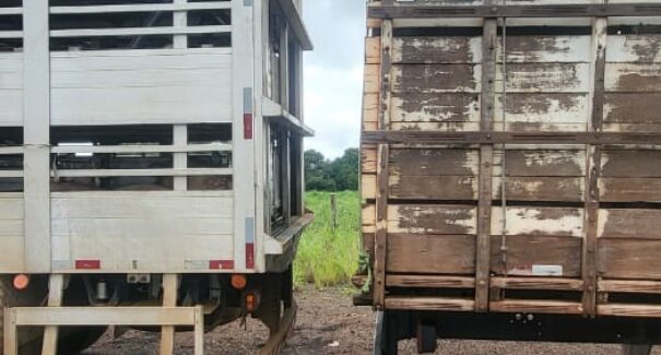 Idoso morre imprensado entre dois caminhões na BR-316, no MA