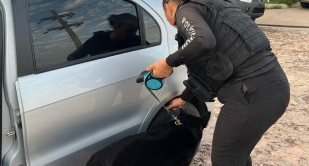 Sete pessoas são presas durante operação contra o tráfico de drogas em São Luís