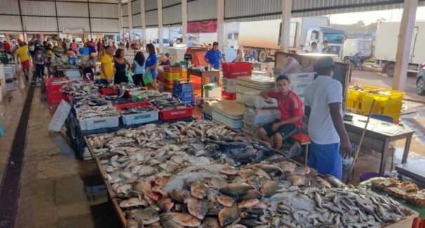 Preços dos pescados podem aumentar na Semana Santa