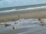 Sete trechos de praias da Grande Ilha de São Luís estão impróprios para banho