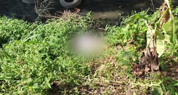 Suspeito de sequestro e homicídio de jovem é preso em São Luís