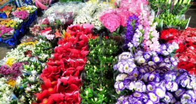 Dia Internacional da Mulher: pesquisa de preços encontra variação de 156,25% em flores