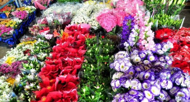 Dia Internacional da Mulher: pesquisa de preços encontra variação de 156,25% em flores