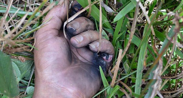 Descargas elétricas aumentam no período de chuvas