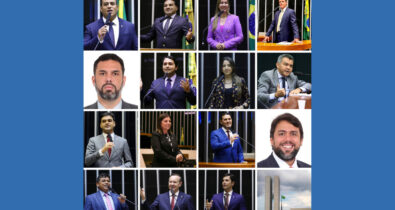 Confira quais deputados do Maranhão votaram pelo retorno do DPVAT