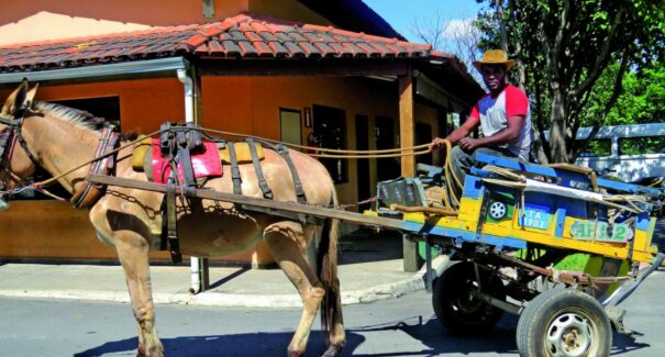 Vereadora propõe capacitação e alternativas de renda aos carroceiros de São Luís