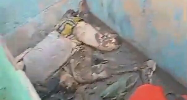 Corpos em decomposição são encontrados em embarcação à deriva no Pará
