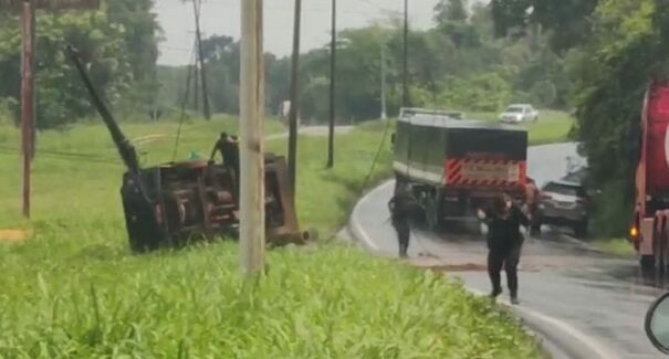 Vigilantes capotam carro-forte e são atacados por abelhas na BR-135