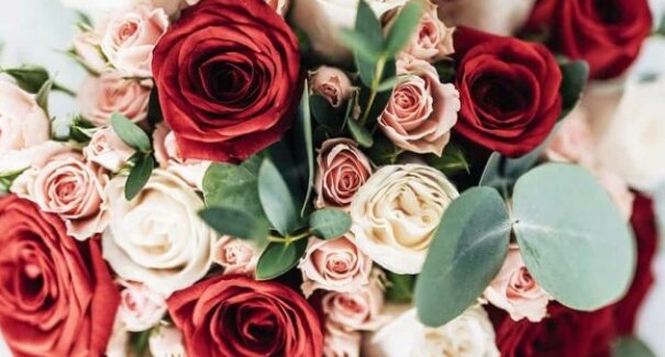 Dia das Mães: presentes podem ter diferença de até 200%, aponta Procon/MA