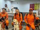 Maranhão envia cães de resgate para missão humanitária no Rio Grande do Sul