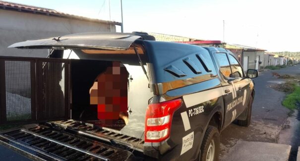 Força-tarefa investiga grupo que aplicava golpes usando imagem de Duarte Jr. e outros políticos