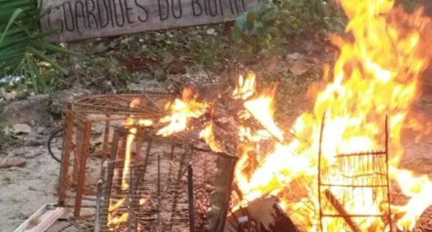 Nove pessoas são presas por crimes ambientais em três cidades do MA