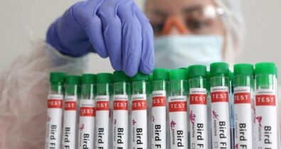 OMS confirma primeira morte pela variante da gripe aviária no México