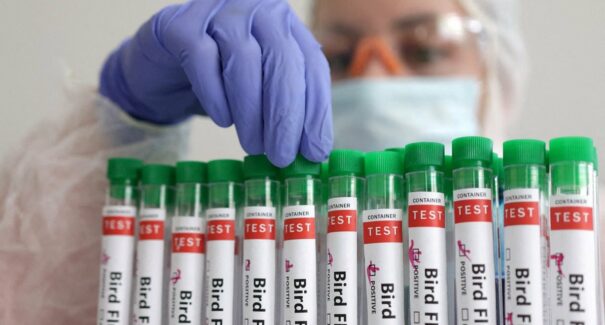 OMS confirma primeira morte pela variante da gripe aviária no México