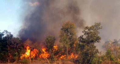 Balsas ocupa segundo lugar entre cidades com maior número de queimadas no Brasil