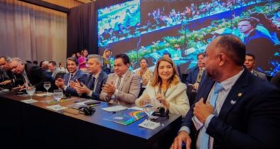 Iracema Vale participa de reunião do Grupo de Trabalho de Economia Digital do G20