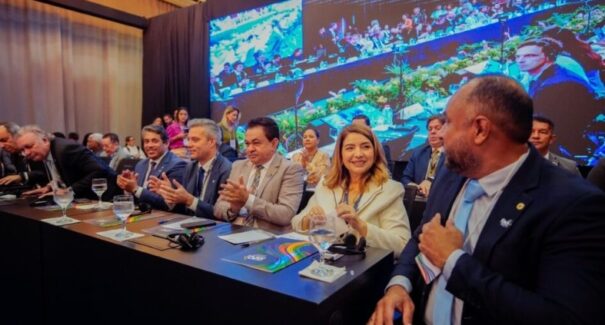 Iracema Vale participa de reunião do Grupo de Trabalho de Economia Digital do G20