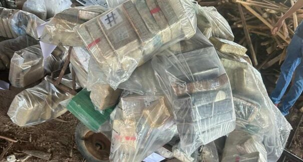 Polícia incinera mais de meia tonelada de drogas em Imperatriz