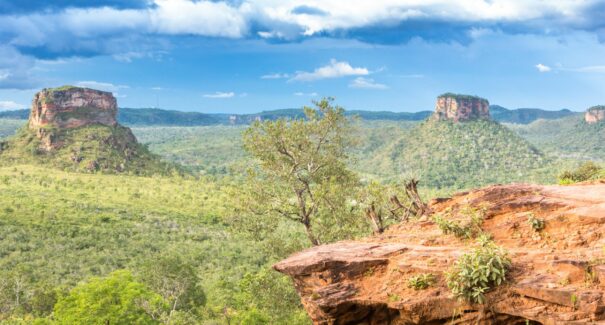 Cerrado é predominante em 124 municípios maranhenses