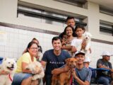 ‘Bora Resolver Causa Animal’ debaterá políticas públicas para a proteção animal