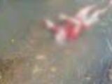 Idoso é encontrado morto em córrego no bairro Angelim, em São Luís