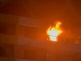 Incêndio em apartamento deixa dois animais mortos no bairro Ponta do Farol