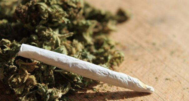 STF define 40 gramas como limite para porte de maconha para uso pessoal