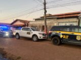 Esquema de fraudes envolvendo gado e vacinas é investigado pelo Gaeco no Maranhão