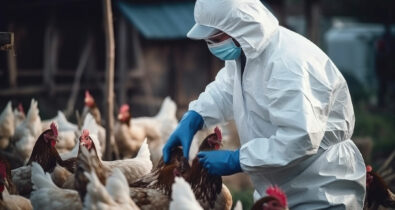 Gripe aviária: OMS emite alerta após novos casos em humanos