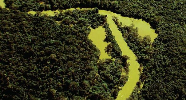 BNDES lança edital para restauração ecológica no Rio Xingu