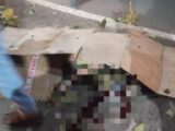 Criança morre após ser atropelada no bairro João Paulo, em São Luís