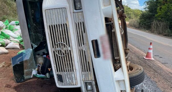 Jovem é preso após saquear meia tonelada de ração de caminhão tombado na BR-222