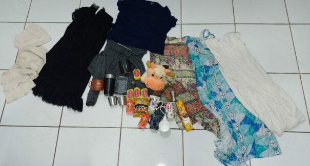 Babá é presa por furto de objetos em residência onde trabalhava