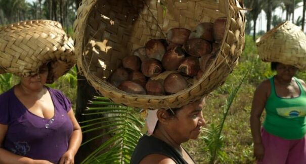 Fundo PPP-ECOS vai destinar R$ 4,1 milhões a projetos ecossociais de mulheres e jovens no MA e TO
