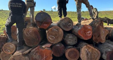 Operação da PF desativa madeireiras ilegais em Buriticupu e Bom Jesus das Selvas