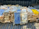 Mais de 100 kg de drogas são apreendidos em fundo falso de caminhão em Porto Franco