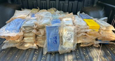 Avaliados em mais de R$ 4 mi, 102 kg de drogas são apreendidos em fundo falso de caminhão em Porto Franco