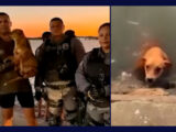 Vídeo: cachorro cai na água e é resgatado na Beira-Mar, em São Luís