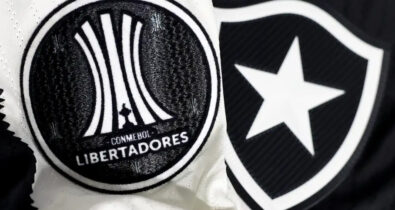 Botafogo irá banir torcedor que cometeu racismo contra Palmeiras