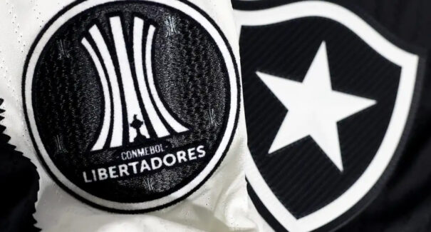 Botafogo irá banir torcedor que cometeu racismo contra Palmeiras