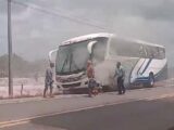 Vídeo: ônibus da Cisne Branco pega fogo na BR-402, no MA